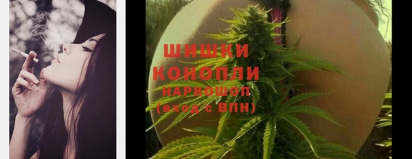 дживик Белокуриха
