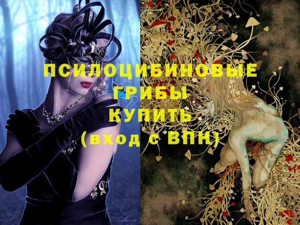 дживик Белокуриха