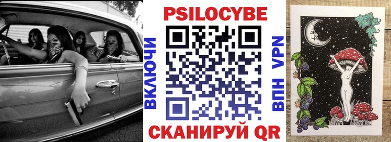 закладки  Котовск  Псилоцибиновые грибы мухоморы 